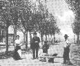 Viale Del mare - (cliccare per ingrandire la foto)